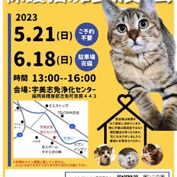 保護猫の譲渡会