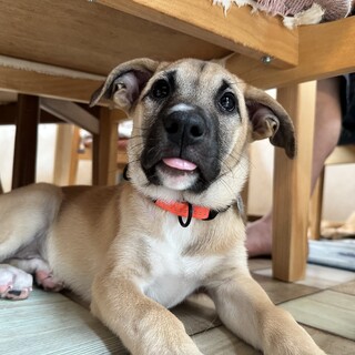 人が大好き「ちー」ちゃん