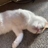 かずぅぉ
