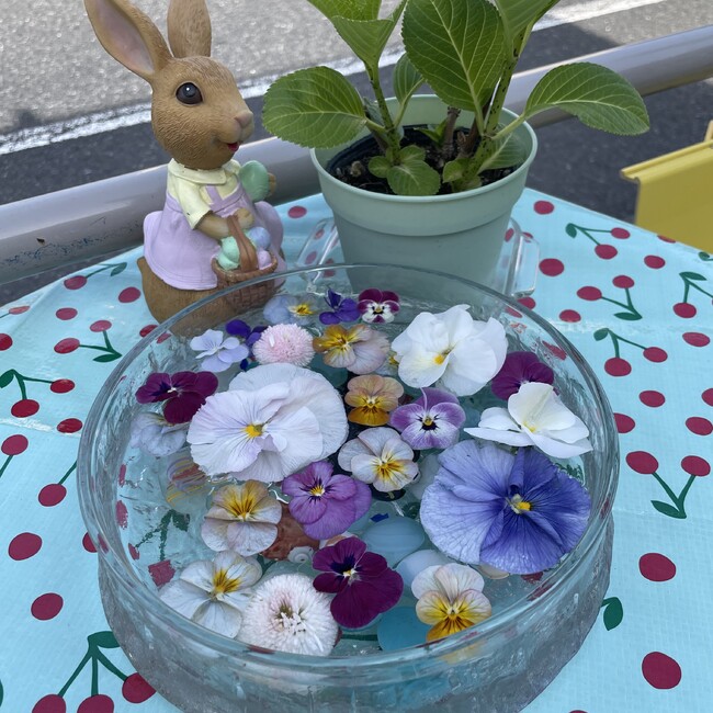 ちゃんちゃすのカバー写真