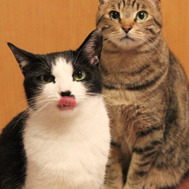 はるききのカバー写真