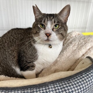 短いしっぽがチャームポイント☆じろうくん