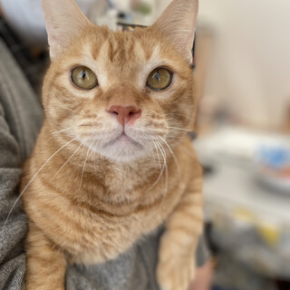 【お見合い歓迎】ハンデはスペシャルな印♬せんくん