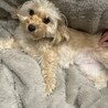 申し込み多数のため停止中です。 サムネイル2