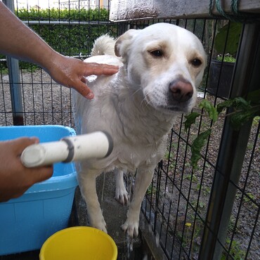 おフロ早く終わらないかな…