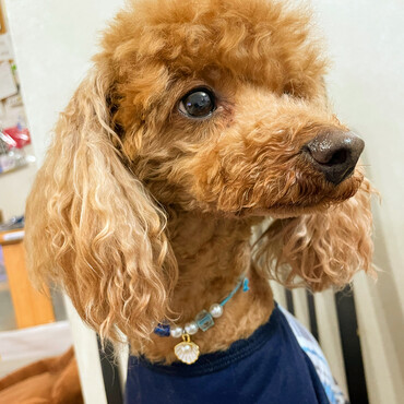 の写真