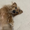 レノン