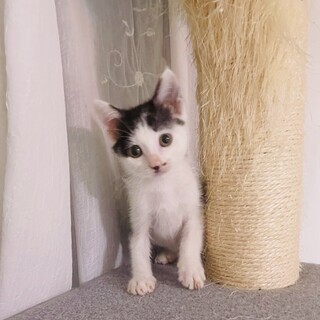 いつもご機嫌♡明るい女の子