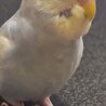 の写真