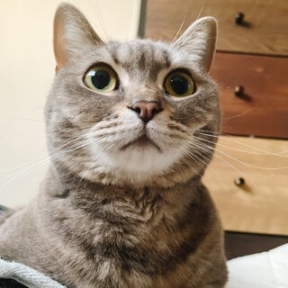 ツンデレな女の子