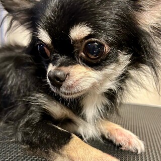 暖かい家族に迎えていただきました