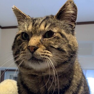 ホール・大人しくて甘えん坊