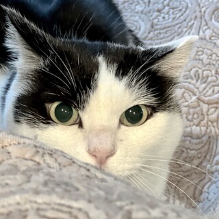 人好き、賢くておっとりと愛らしい＊性格花丸の女の子