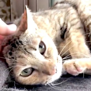 【5/28月島】おっとり系♡穏やか大人女子