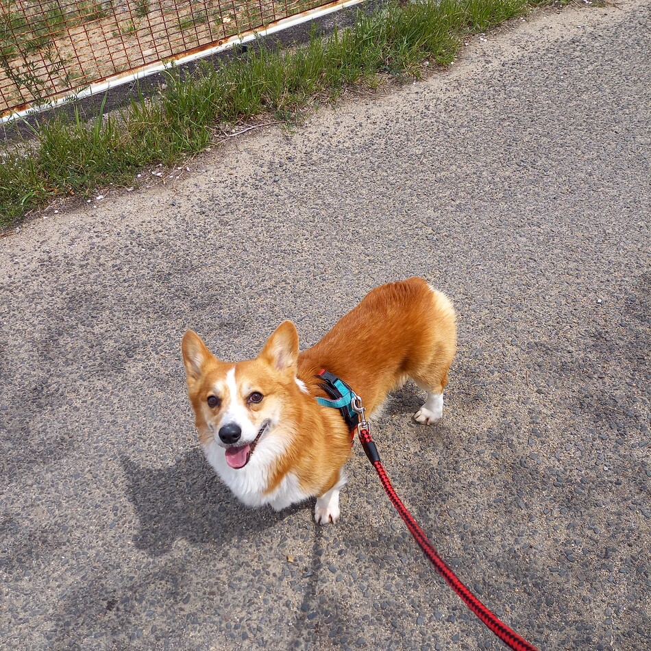 ブライアンのカバー写真