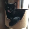 さち＿香川