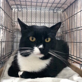 8/20西千葉ෆ⃛人馴れ抜群ෆ⃛ななこちゃん