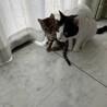 の写真