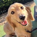 ゆっくり家族になって欲しい　おとめちゃん