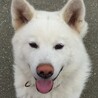 こうじマン