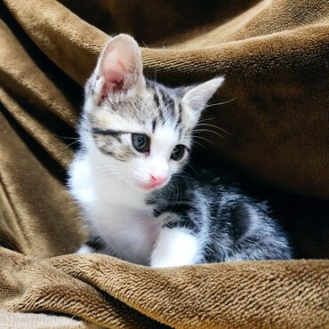 5/25 フラッシュしてないのに輝いて見える✨