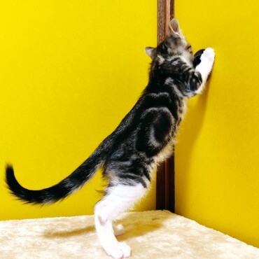 ボディの模様面白いよね(^^)♪