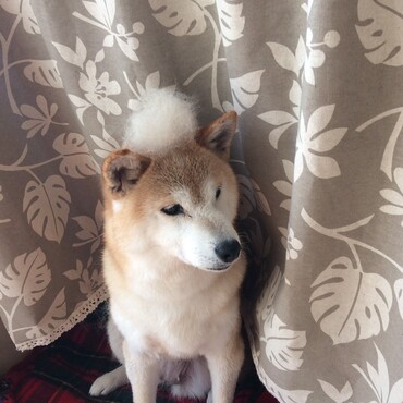 ベルクさんとお揃い♪笑笑　5年前の私。