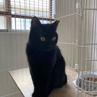 〝ぴーちゃん〟です♪