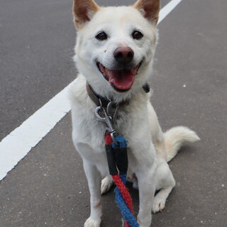 おめめがキラキラな☆笑顔溢れる甘えん坊のスバルくん