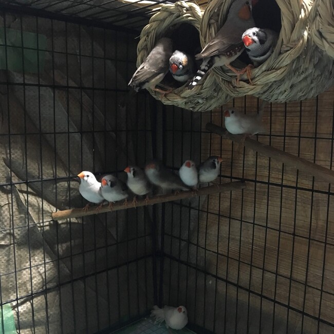 やまだひろあきのカバー写真