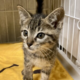 ワテら陽気な3兄弟！瑛人くん2ヶ月半