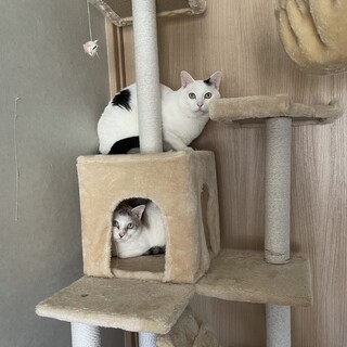 離すのが難しい超ラブラブ親子????