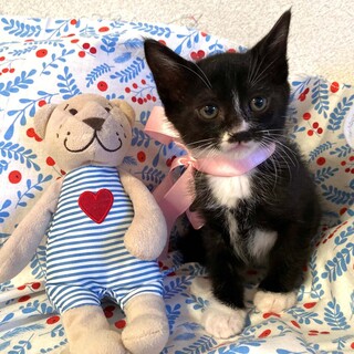 不参可【6/18東銀座】ジェイちゃん★2ヵ月半