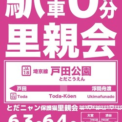 とだニャン保護猫里親会