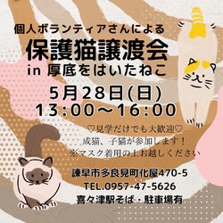保護猫譲渡会 in 厚底をはいたねこ