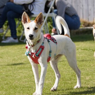 ちょっと臆病だけどやんちゃ★ゆばちゃん