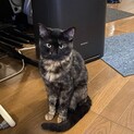 協調性があってやさしいくるみちゃん