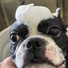 美容室デビューの一枚