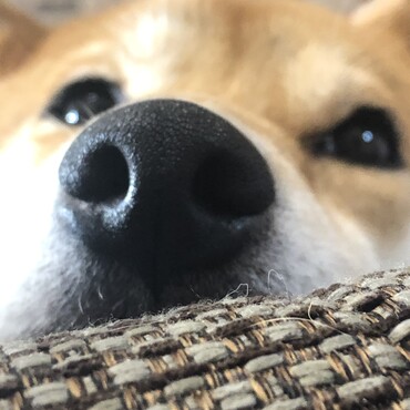 の写真
