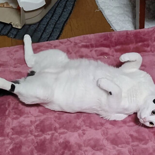 マッチョイケメン！ギータくん★