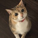 順番にお返事しておりますのでもう少々お待ち下さい