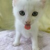 三兄弟で1番元気♡まろくん サムネイル4