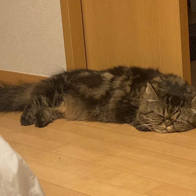 贅沢な名のカバー写真