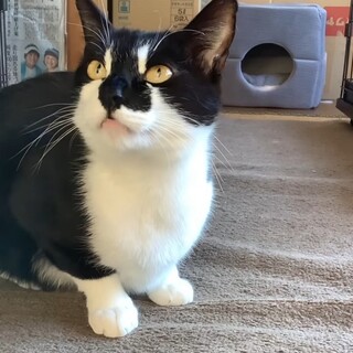 時間残りわずか！あまり慣れていません