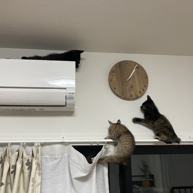 は、るのカバー写真