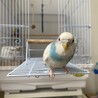 にょも