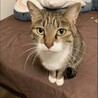 家に来る前の、ししゃも君