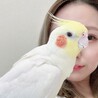 きぃーー