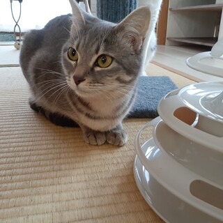 ステキなご縁に結ばれました♡