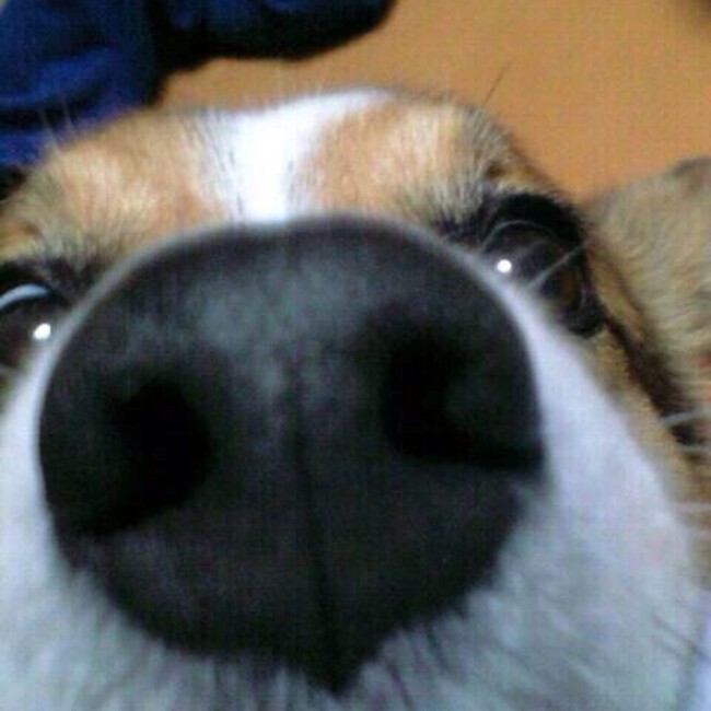 りーままのカバー写真